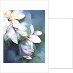 Magnolia Dedudata by Karen Armitage