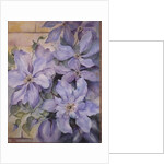 Clematis, The President by Karen Armitage