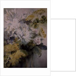 Agapanthus Molucela arrangement in a glass vase by Karen Armitage