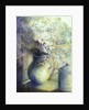 Asters - Snowsprite in jug on window sill by Karen Armitage