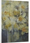 Spring Time, mixed daffodils in tank No 3., Mrs Krelage, Ice Follies and Fortune by Karen Armitage