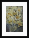 Spring Time, mixed daffodils in tank No 3., Mrs Krelage, Ice Follies and Fortune by Karen Armitage