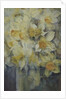 Spring Time, mixed daffodils in tank No 3., Mrs Krelage, Ice Follies and Fortune by Karen Armitage