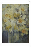 Spring Time, mixed daffodils in tank No 3., Mrs Krelage, Ice Follies and Fortune by Karen Armitage