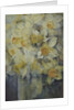 Spring Time, mixed daffodils in tank No 3., Mrs Krelage, Ice Follies and Fortune by Karen Armitage