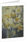 Spring Time, mixed daffodils in tank No 3., Mrs Krelage, Ice Follies and Fortune by Karen Armitage