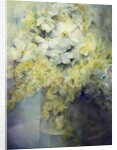 Anemone Japonica - White Queen and Molu by Karen Armitage