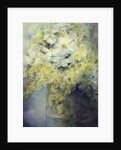Anemone Japonica - White Queen and Molu by Karen Armitage