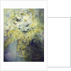 Anemone Japonica - White Queen and Molu by Karen Armitage