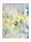 Spring tulips by Karen Armitage