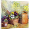 Pansies and Terracotta Pots by Karen Armitage