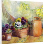 Pansies and Terracotta Pots by Karen Armitage
