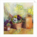 Pansies and Terracotta Pots by Karen Armitage