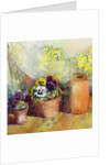 Pansies and Terracotta Pots by Karen Armitage
