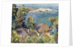 Zapellar, Chile, 1996 by Karen Armitage