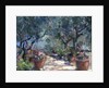 Garden in Porto Ercole, Italy, 1996 by Karen Armitage