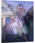 Protea at Stellenbosch, 1992 by Karen Armitage