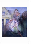 Protea at Stellenbosch, 1992 by Karen Armitage