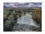 The River Tweed, Roxburghshire, 1995 by Karen Armitage