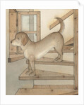 Watchdog, 2003 by Kestutis Kasparavicius