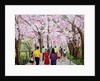 Beautiful Bright Spring Day, 1994 by Komi Chen