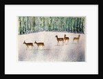 Deer in Snow by Suzi Kennett