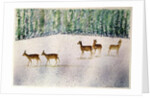 Deer in Snow by Suzi Kennett