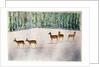 Deer in Snow by Suzi Kennett