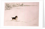 Springer Spaniel in the Snow by Suzi Kennett