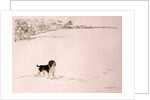 Springer Spaniel in the Snow by Suzi Kennett