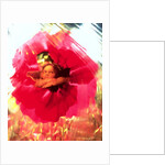 Angel and Poppy by Katherine Fawssett