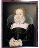 Portrait of a Lady by Francois Clouet