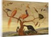A Concert of Birds by Jan van the Elder Kessel