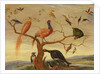A Concert of Birds by Jan van the Elder Kessel