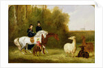 Queen Victoria, Prince Albert and the Prince of Wales at Windsor Park with their Herd of Llamas by English School