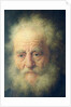 Bust of an Old Man with a Gold Chain by Rembrandt Harmensz. van Rijn