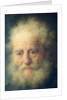 Bust of an Old Man with a Gold Chain by Rembrandt Harmensz. van Rijn