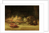 Cat by Rembrandt Harmensz. van Rijn