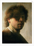 Portrait of Rembrandt with Overshadowed Eyes by (studio of) Rembrandt Harmensz. van Rijn
