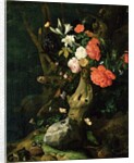 Still Life of Flowers on Woodland Ground, c.1690 by Rachel Ruysch