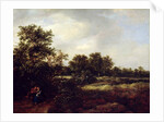 Dune Landscape with Lovers, 1647 by Jacob Isaaksz. or Isaacksz. van Ruisdael