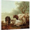 Four Cows in a Meadow, 1644 by Paulus Potter