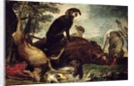 Dogs with Slain Wild Boar and Deer by David de Coninck
