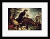 Dogs with Slain Wild Boar and Deer by David de Coninck