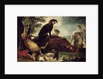 Dogs with Slain Wild Boar and Deer by David de Coninck