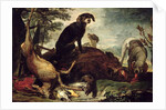 Dogs with Slain Wild Boar and Deer by David de Coninck