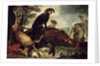 Dogs with Slain Wild Boar and Deer by David de Coninck