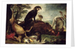 Dogs with Slain Wild Boar and Deer by David de Coninck