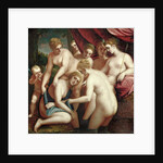 Diana Discovering the Pregnancy of Callisto, 1570 by Luca Cambiaso