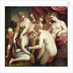 Diana Discovering the Pregnancy of Callisto, 1570 by Luca Cambiaso